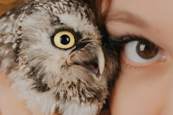 Lottomart Casino Suporte